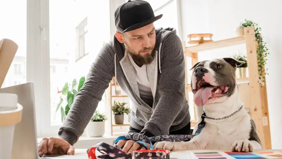Americans Willing To Take 10% Pay Cut In Order To Work Remotely With Their Dogs